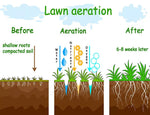 Lawn Aerator Roller Scarifier Rolling Steel Spike Tool Garden Yard Farm Grass
