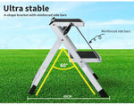 Manan Folding Caravan Steps Double Portable Steady Stool Ladder rv Accessories