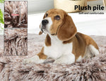 Pawz Dog Mat Pet Cat Calming Bed Memory Foam Orthopedic Removable Cover Washable