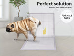 Pawz Puppy Training Pads Pet Dog Cat Potty Pee Super Absorbent 200/400 60x60