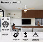 Spector 52'' Ceiling Fan LED Light DC Motor Remote Control 5 Speed Wooden Blade