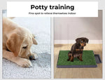 Pawz Grass Potty Training Indoor Dog Pet Portable Toilet Pad Tray Turf Mat Large