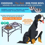 Pawz Dual Elevated Pet Dog Puppy Feeder Bowls Stainless Steel Food Water Stand