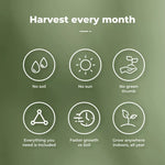 Hydroponics Growing System Indoor Seed Germination Garden Starter Kit 15 Pots