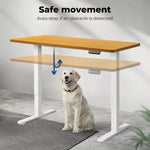 Levede Motorised Standing Desk Adjustable Sit Stand Cable Management 140X70cm