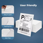 Thermal Direct Shipping Label 100x150mm 400/4800 Lables Fan-Fold Box Stickers