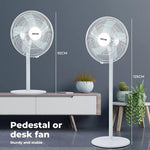 Spector Pedestal Floor Fan Portable Commercial Table Cooling Fans 3 Speed