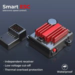 Centra RC Car 1:16 4WD Off-Road Racing Brushless Motor 2.4GHz Remote Control