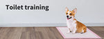 Pawz 60x60cm Pet Dog Training Pads Indoor Puppy Potty Pee Mat Absorbent 200/400x