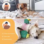 Pawz Dog Chew Toy Squeaky Puppy Pet Play Aggressive Chewers Interactive 16 style