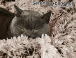 Pawz Pet Bed Cat Dog Donut Nest Calming Mat Soft Warm Plush Kennel Brown 110cm