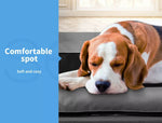 Pawz Elevated Pet Bed Sofa Bolster Dog Cat Trampoline Hammock Raised Heavy Duty