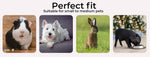 Pawz Pet Playpen Folding Dog Plastic Puppy Exercise Enclosure Fence Indoor Large