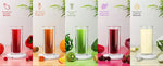 Spector Cold Press Slow Juicer Whole Fruit Juice Extractor Vegetable Processor