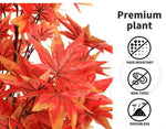 Lambu Artificial Plants Tree Garden Indoor Outdoor Fake Home Decor Maple 180cm