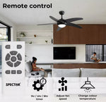Spector 52'' Ceiling Fan with Light DC Motor Remote Control 5 Speed Wooden Blade
