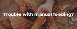 Pawz 5KG Auto Automatic Chicken Feeder Self-opening Poultry Chook Treadle