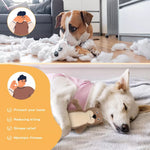Pawz Dog Chew Toys Squeaky Puppy Pet Rope Plush Toy Teething 5 styles