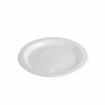 10″ (260mm) Festive Reusable Plates