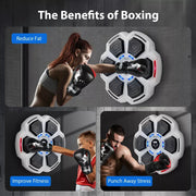 Centra Electronic Punching Box Music Machine Bluetooth 9 Speeds Boxing Gloves