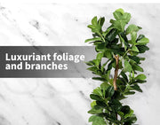Lambu 180cm Artificial Plants Tree Room Garden Indoor Outdoor Fake Home Decor