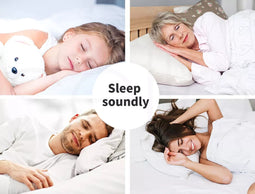 Dreamz 700GSM All Season Goose Down Feather Filling Duvet in King Size