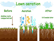 Lawn Aerator Roller Scarifier Rolling Steel Spike Tool Garden Yard Farm Grass