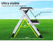 Manan Folding Caravan Steps Double Portable Steady Stool Ladder rv Accessories