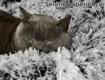 Pawz Pet Dog Cat Calming Bed Warm Soft Plush Sleeping Kennel Removable Washable