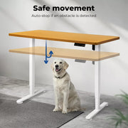 Levede Motorised Standing Desk Height Adjustable Electric Sit Stand Table 120CM