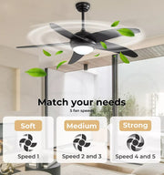 Spector 52'' Ceiling Fan with Light DC Motor Remote Control 5 Speed Wooden Blade