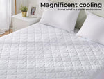 Dreamz Mattress Protector Topper Bamboo Pillowtop Waterproof Cover Double