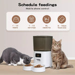 Pawz 5L Automatic Pet Feeder Dog Cat Auto Smart Food Dispenser Timer Feed 2 Bowl