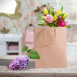 x50 Bulk Kraft Paper Gift Bags Craft Wedding Retail Brown Carry Bag With Handles