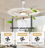 Spector 52'' Ceiling Fan LED Light DC Motor Remote Control 5 Speed Wooden Blade