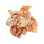 Blackdog Pig Ears 10 pack