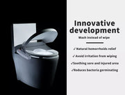 Electric Bidet Toilet Seat Cover Bathroom Washlet Spray Water  Auto Smart Wash