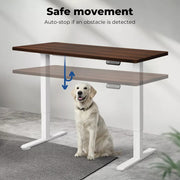 Levede Motorised Standing Desk Adjustable Electric Sit Stand Cable Management