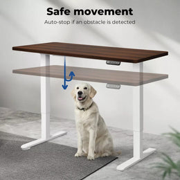 Levede Motorised Standing Desk Adjustable Electric Sit Stand Cable Management