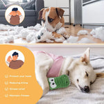 PaWz Dog Chew Toys Squeaky Teething Toys 6 Styles Puppy Pet Rope Plush Toy