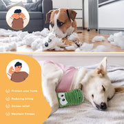 PaWz Dog Chew Toys Squeaky Teething Toys 6 Styles Puppy Pet Rope Plush Toy