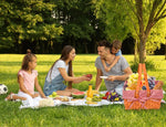 Picnic Basket 2/4 Person Insulated Baskets Set Wicker Outdoor Blanket Gift Park