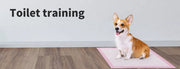 Pawz 60x60cm Pet Dog Training Pads Indoor Puppy Potty Pee Mat Absorbent 200/400x