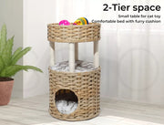 Pawz Rattan Cat Bed Nest Hand Woven Washable Kitty Interactive House Dome Wicker