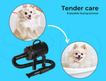Pawz Pet Hair Dryer Dog Cat Grooming Blow Speed Hairdryer Blower Heater  2800W