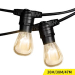 Emitto Festoon String Lights Christmas Party Garden Decor Plant Fruit Grow Light