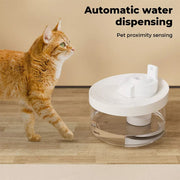 Pawz Automatic Pet Water Fountain Dog Cat Drinking Dispenser Silent LED 2.2L