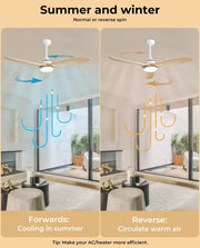 Spector 52'' Ceiling Fan LED Light DC Motor Remote Control 5 Speed Wooden Blade