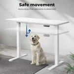 Levede Motorised Standing Desk Adjustable Electric Sit Stand Cable Management
