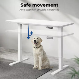 Levede Motorised Standing Desk Adjustable Electric Sit Stand Cable Management